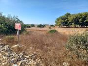 Terreno in vendita a Nardò LE