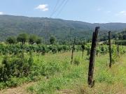 Terreno in vendita a Nave BS