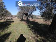 Terreno in vendita a Nereto TE