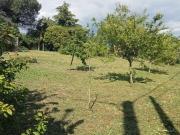 Terreno in vendita a Nettuno RM