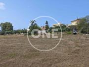 Terreno in vendita a Nettuno RM