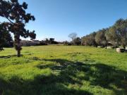 Terreno in vendita a Nettuno RM