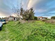 Terreno in vendita a Nettuno RM