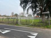 Terreno in vendita a Nettuno RM