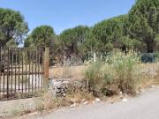Terreno in vendita a Nicolosi CT