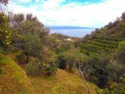 Terreno in vendita a Nizza di Sicilia ME