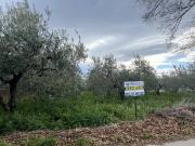 Terreno in vendita a Nocciano PE