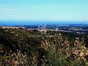 Terreno in vendita a Noto