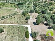 Terreno in vendita a Noto SR