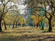 Terreno in vendita a Noto SR