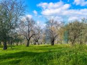 Terreno in vendita a Noto SR