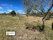 Terreno in vendita a Noto SR