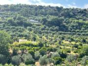 Terreno in vendita a Noto SR