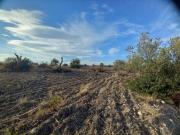 Terreno in vendita a Noto SR