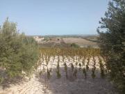 Terreno in vendita a Noto SR