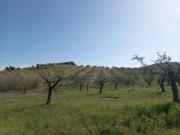 Terreno in vendita a Noto SR