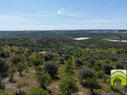 Terreno in vendita a Noto SR