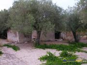 Terreno in vendita a Noto SR