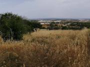 Terreno in vendita a Noto SR