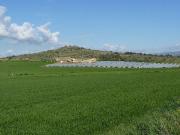 Terreno in vendita a Noto SR
