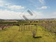 Terreno in vendita a Noto SR