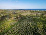 Terreno in vendita a Noto SR