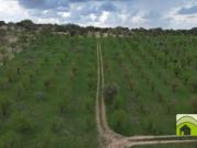 Terreno in vendita a Noto SR