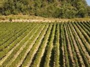 Terreno in vendita a Nova Ponente BZ