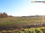 Terreno in vendita a Novara NO