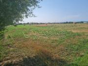 Terreno in vendita a Noventa Vicentina VI