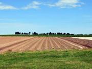 Terreno in vendita a Novi di Modena MO