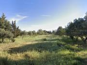 Terreno in vendita a Novoli LE