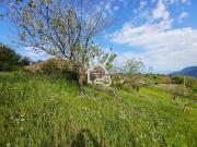 Terreno in vendita a Ogliastro Cilento SA