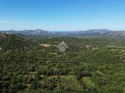 Terreno in vendita a Olbia SS