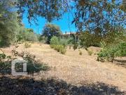 Terreno in vendita a Olbia SS