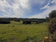 Terreno in vendita a Olbia SS