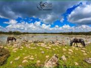 Terreno in vendita a Olbia SS