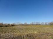 Terreno in vendita a Onano VT