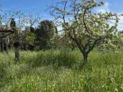 Terreno in vendita a Orbetello GR