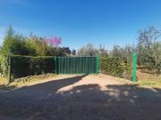 Terreno in vendita a Orbetello GR