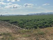 Terreno in vendita a Orbetello GR