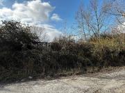 Terreno in vendita a Orte VT