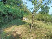Terreno in vendita a Orte VT
