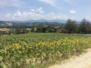 Terreno in vendita a Orte VT