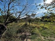 Terreno in vendita a Orte VT