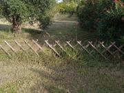 Terreno in vendita a Orte VT