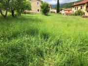 Terreno in vendita a Ortignano Raggiolo AR