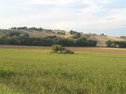 Terreno in vendita a Ostra Vetere AN