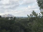 Terreno in vendita a Ostuni BR