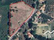 Terreno in vendita a Otricoli